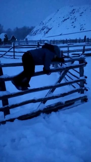 Камиль. Янтышево. 2019 смотреть онлайн