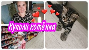 УРА! КУПИЛИ ШОТЛАНДСКОГО КОТЁНКА. СХОДИЛИ В ГИПЕР МАГНИТ, ПРОГУЛЯЛИСЬ В ПАРКЕ КАШКАДАН.
