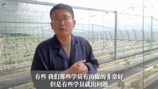 半水培种植越来越简单，供液系统升级后，水培种植离你更近了