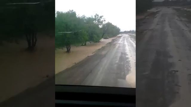 Жаркент смотреть онлайн