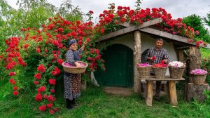 🌹Традиционное Розовое Варенье: Домашний Рецепт из Свежих Роз