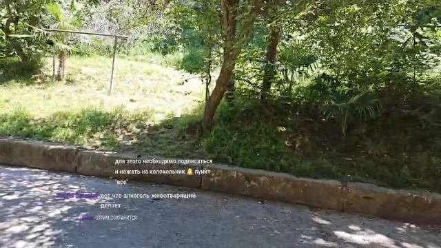 Я НЕ ГРУСТНАЯ, Я ТРЕЗВАЯ / ПРЯМОЙ ЭФИР смотреть онлайн