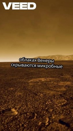 Венера_ Угадали ли учёные жизнь.
