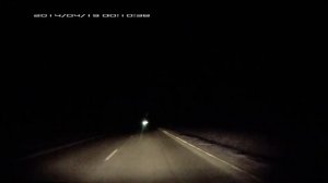 Куршская коса. Клещи и кабаны