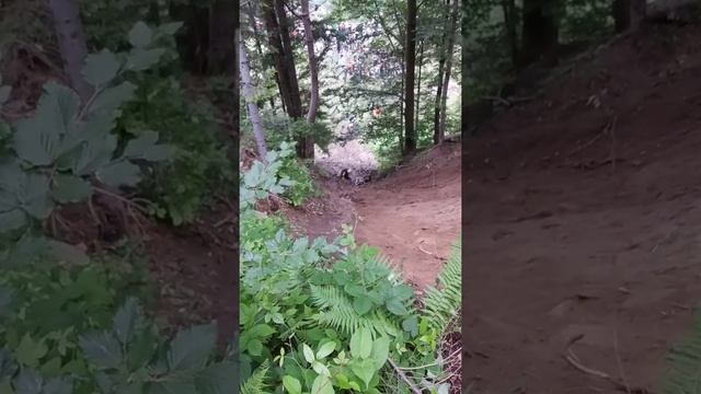 Hard enduro 2019 с.Білі Ослави HESU смотреть онлайн