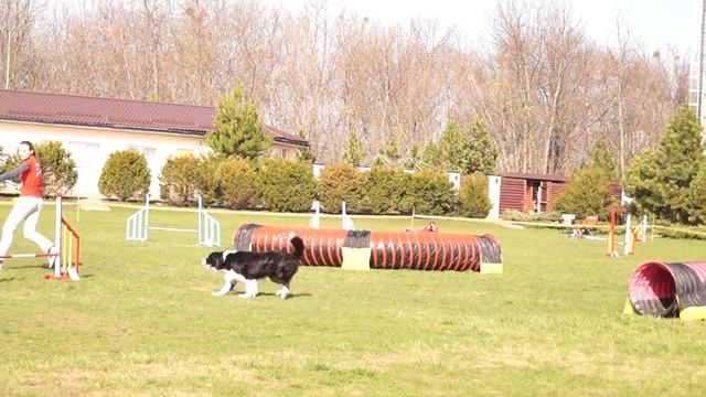 Дебют. Кот Катерина и Яша. 21.04.18 смотреть онлайн