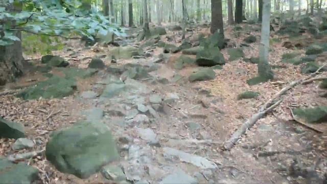 Жизнь и отдых в польше. Поход на гору Ślęża. смотреть онлайн