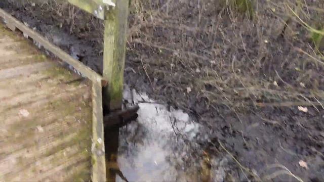 46. CHÂTEAU DHARDELOT. ФРАНЦУЗСКИЙ ЗАМОК В СОБСТВЕННОСТИ АНГЛИЧАН.ШАТО АРДЕЛО. ЕЛИЗАВЕТИНСКИЙ ТЕАТ