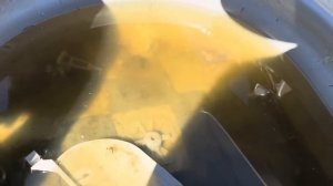 Работа в США на джанк ярде (летом)