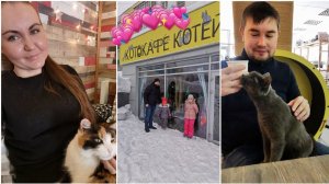 Котокафе "Котейная". Отдых для души.❤️