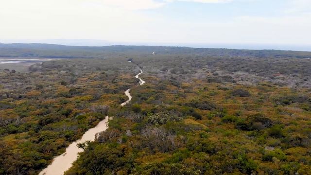Австралийская растительность с высоты птичьего полета смотреть онлайн