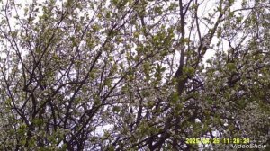 Мариуполь ⛵ весна 🌿строительство 🏗️🏬 ремонт 🏢 пр.Строителей