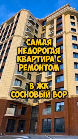 Сосновый бор
