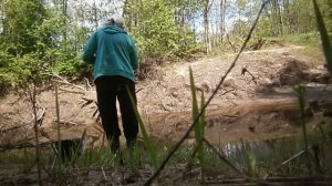 Рыбалка на  Шистоме. Окунь  и  сорога. Первый  улов  в этом  сезоне.
