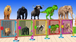 ✨ ЖИВОТНЫЕ СПАСАЮТСЯ! 🐾 ПРОХОДЯТ ЗАДАНИЕ НА СМЕКАЛКУ! 🧠💥