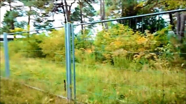 Топхин 2011 смотреть онлайн