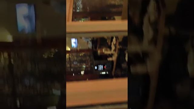 Maritim Jolie Ville Resort & Casino (25.07.2024г.) Ежедневная анимация для детей смотреть онлайн