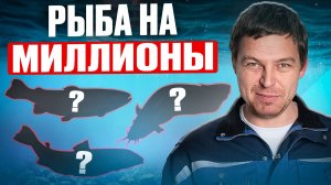 3 САМЫЕ ПРИБЫЛЬНЫЕ рыбы в 2025 для разведения в УЗВ без головняка _ Рыбоводы дуреют с этих плавучих