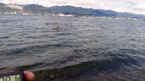 НОВОРОССИЙСК ПЛЯЖ МАЛАЯ ЗЕМЛЯ У НАС ПРОХЛАДНО ОТДЫХАЮЩИЙ НЕ МАЛО НА ПЛЯЖЕ ( ЖИВУ НА ЧЁРНОМ МОРЕ)