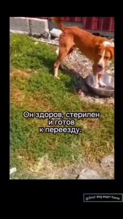 Клёвый парень