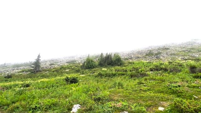 Велопоездка на Иремель с ночевой в палатке 13-14 июля смотреть онлайн