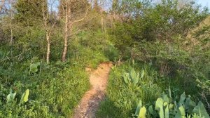 Поездка в Алматы 2024 в рамках командировки на выставку KIHE2024