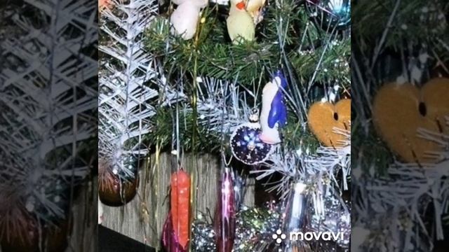 Я верю в тебя, новогоднее чудо... Алёна Васильченко смотреть онлайн