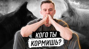 Кого ты кормишь в себе?