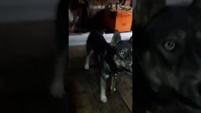 5 октября 2018 г. смотреть онлайн