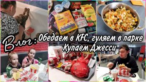 VLOG:Подразню Вас вкусняшками. Обедаем в KFC, гуляем в парке всей семьёй.Искупала Джесси.