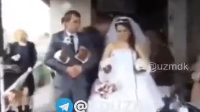 Oʻrgimchak odam смотреть онлайн