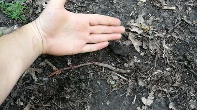 Коп в парке Феофания, Киев. Странные и страшные находки. смотреть онлайн