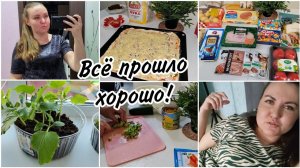 Почему лежит за дверью?? Домашняя пицца Моя рассада на работе. Покупки с магазина Красное&Белое.