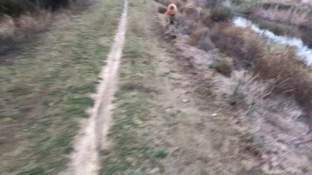 Прайд) разговор по душам) и чисто мысли в слух приятного просто 🙏 смотреть онлайн