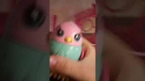Птичка little live pets