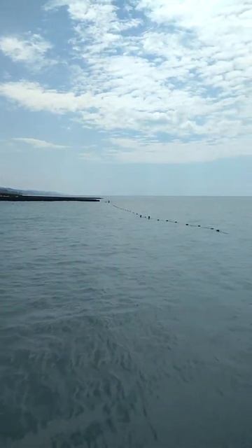 Совет-квадже смотреть онлайн