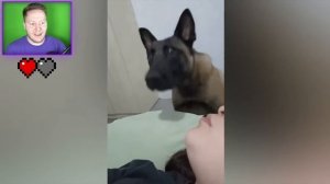 ЗАСМЕЯЛСЯ - ПРОИГРАЛ