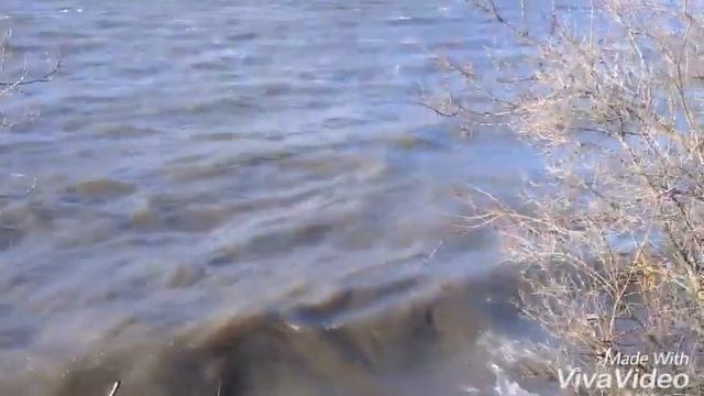 Карачуновское водохранилище 12.12.2016