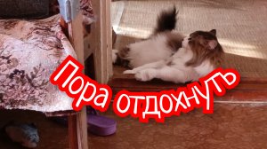 Пора отдохнуть!