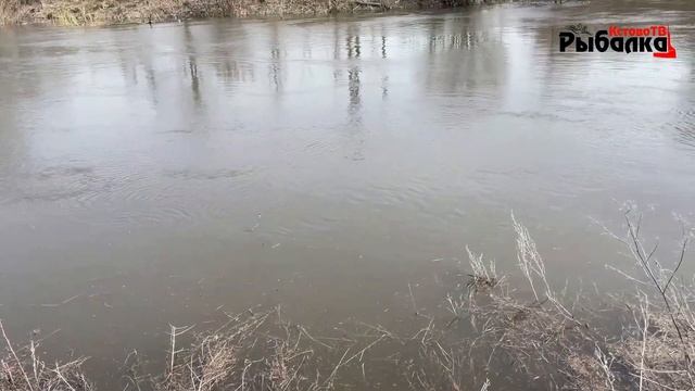 Ловля весенней уклейки на поплавок р.Кудьма.