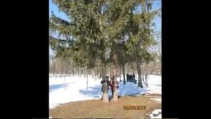 Корсунь-Шевченковский заповедник