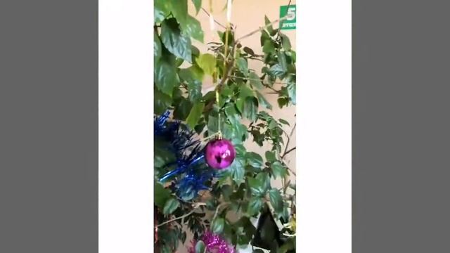 К новому году готовы! смотреть онлайн