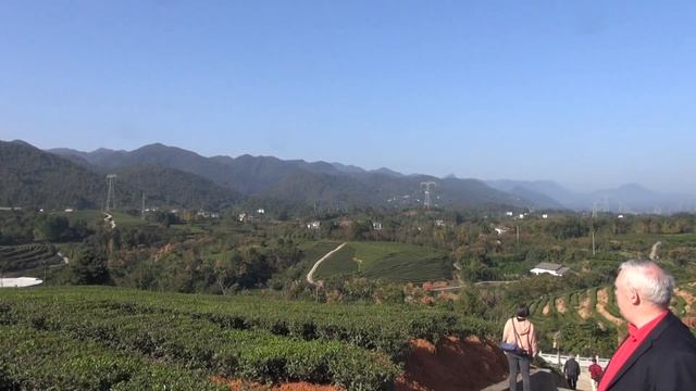 Чайная плантация - душа радуется! География чая. Природа. Психология. Эмоции. смотреть онлайн