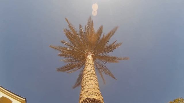 Египет. Шарм-єль-Шейх 14.02.2017 смотреть онлайн