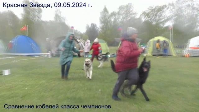 Сравнение КЧ