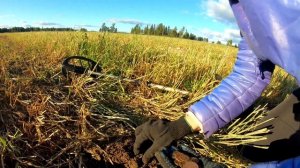 Клад царских монет в заброшенной деревне