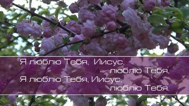 Я люблю Тебя Иисус