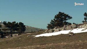 Крымское счастье Константина Горького