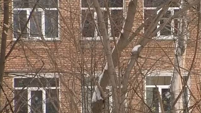 Напал на женщину смотреть онлайн