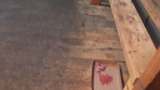 Где будут зимовать пчёлы ? смотреть онлайн